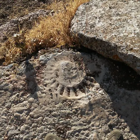 Coso Viejo Antequera