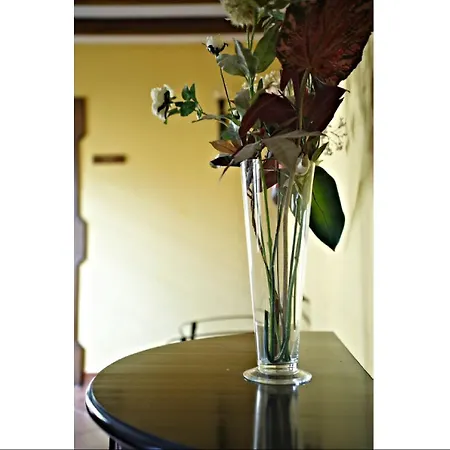 Hotel Coso Viejo